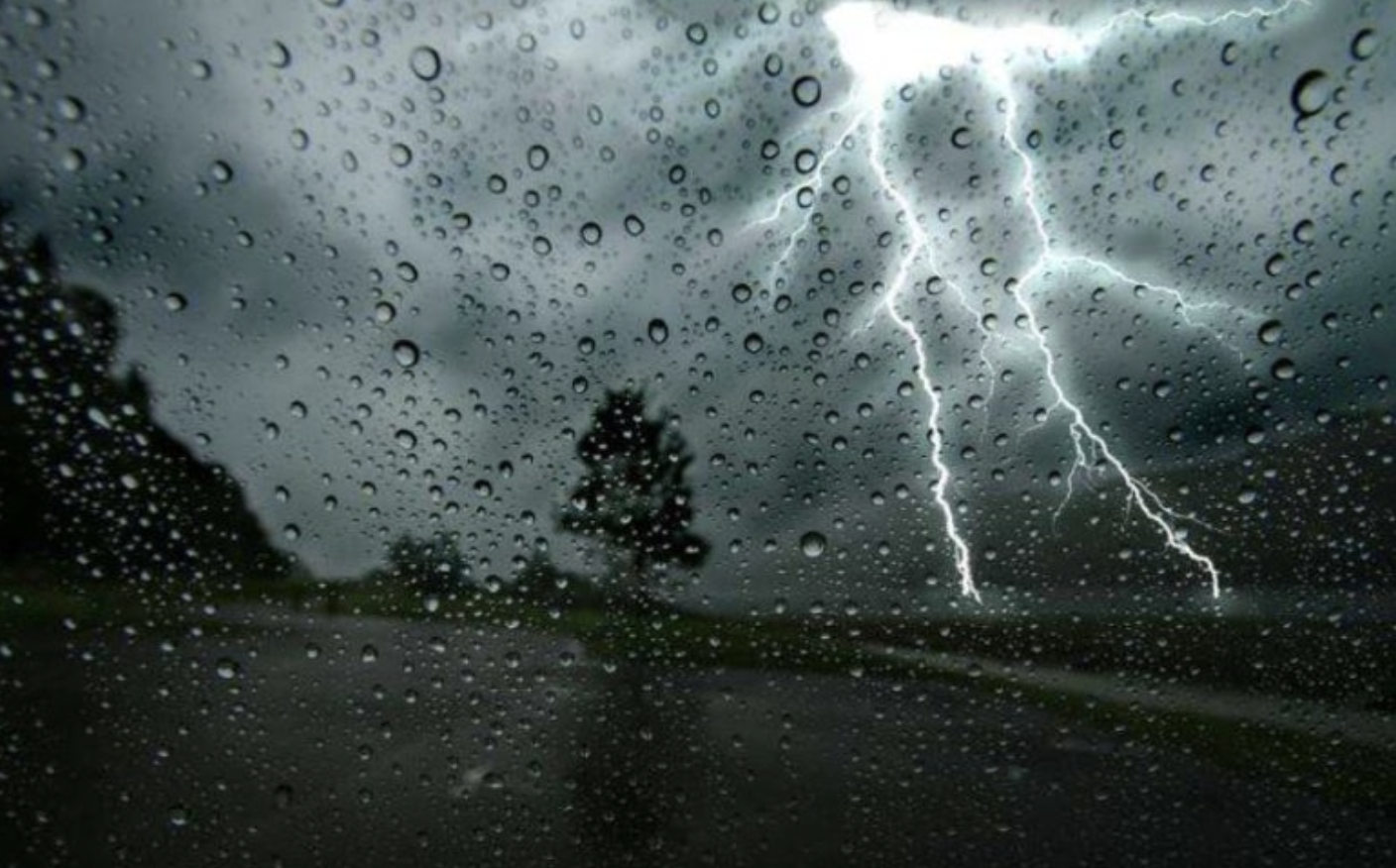 20205년 장마 사진