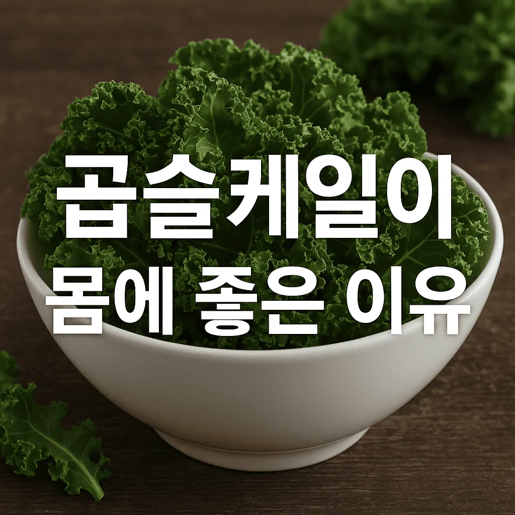 곱슬케일의 효능