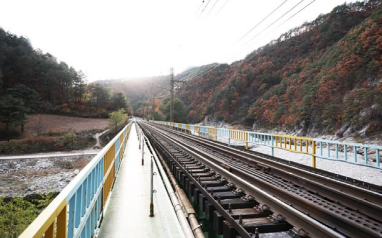 백두대간 협곡열차