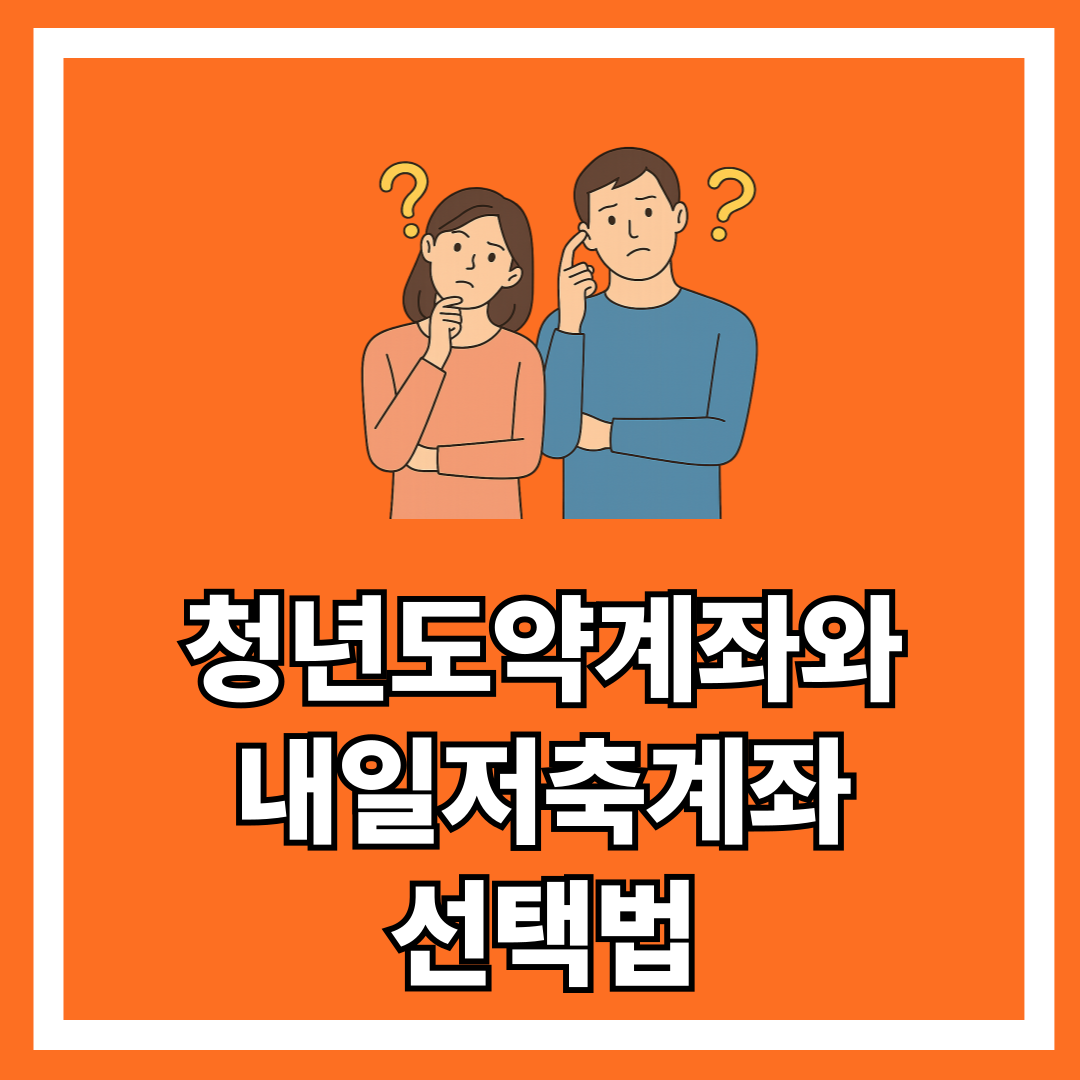 청년도약계좌와 내일저축계좌 선택법