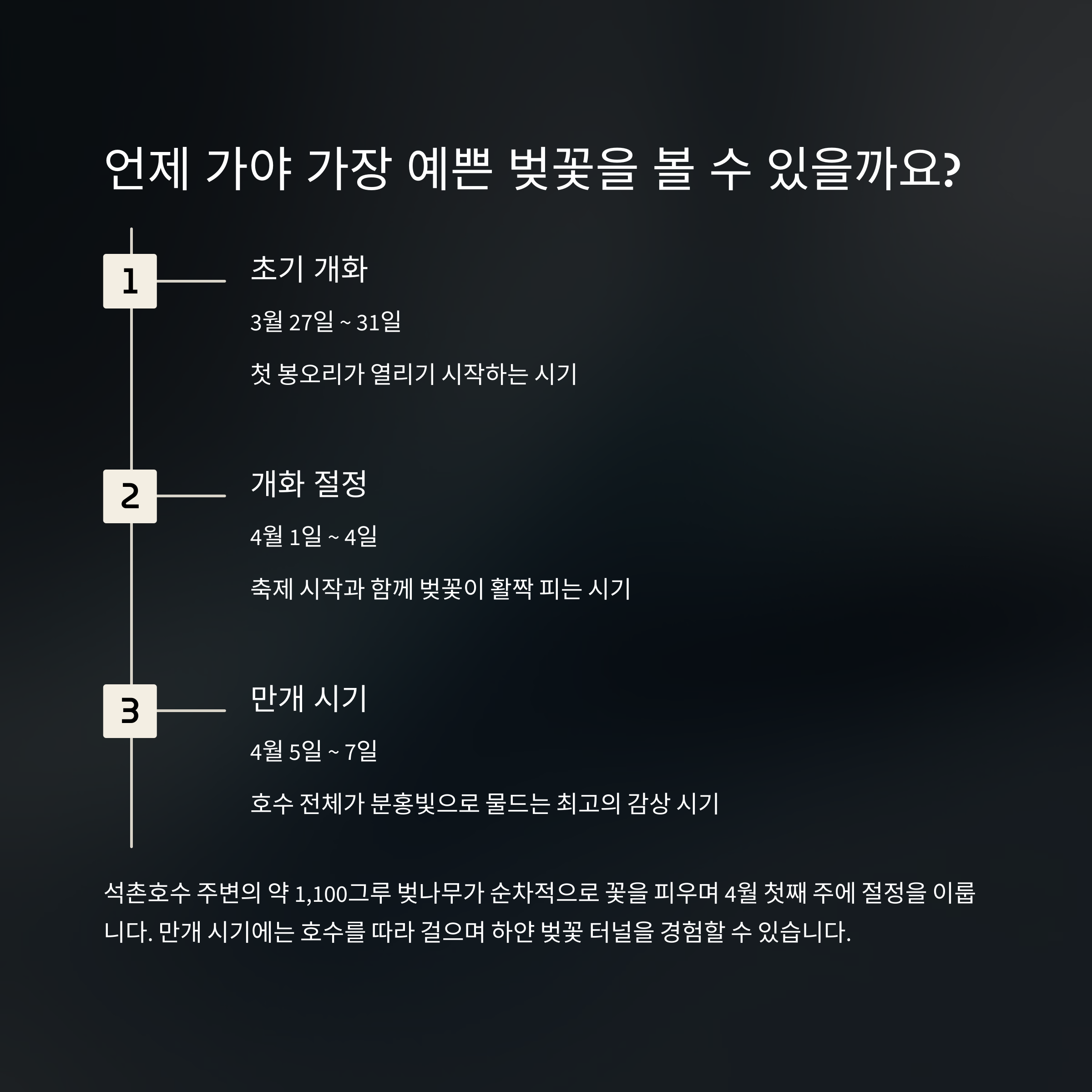 석촌호수 벚꽃축제 방문시기 꿀팁