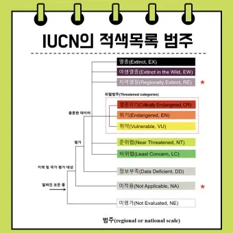 초저조도 식물 추천 빛부족집 관리요령 물주기간격 식물등활용_11