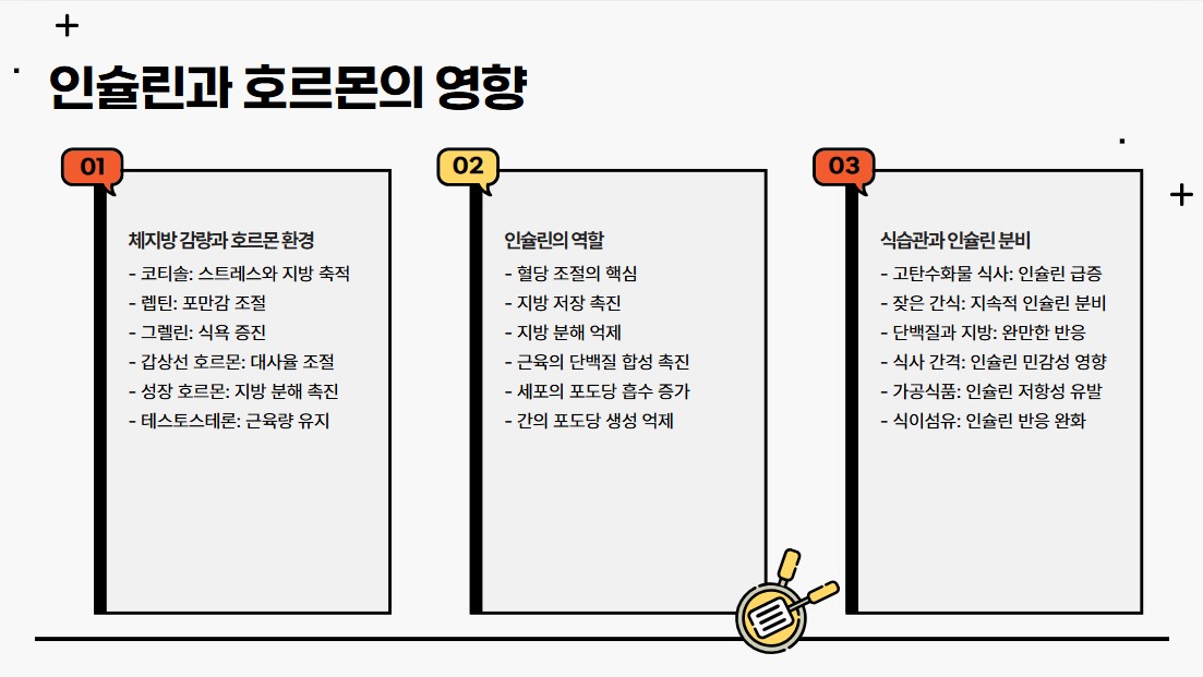 인슐린과 호르몬의 영향