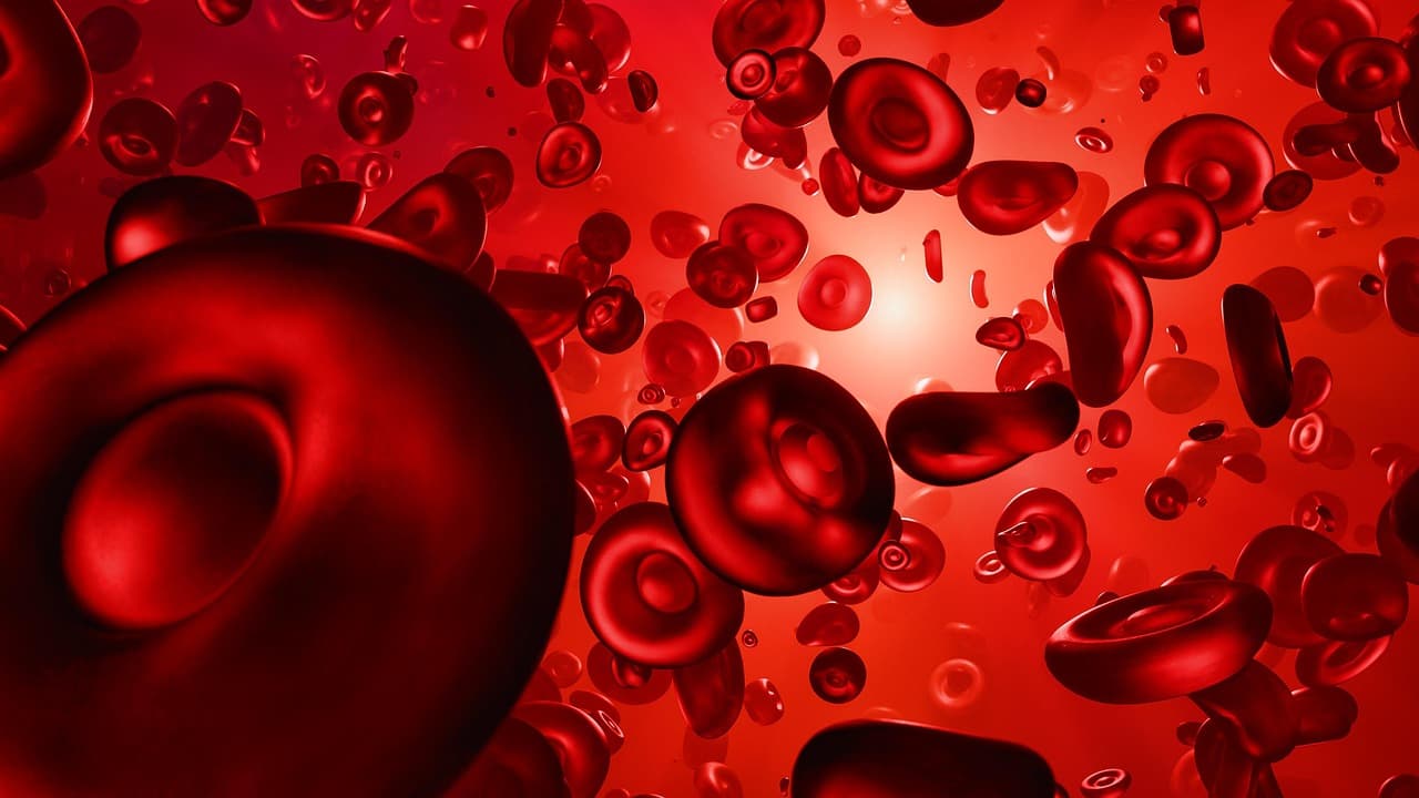 혈액 정화가 필요한 이유! 건강을 지키는 혈액 정화 습관 &amp; 개선 효과 총정리