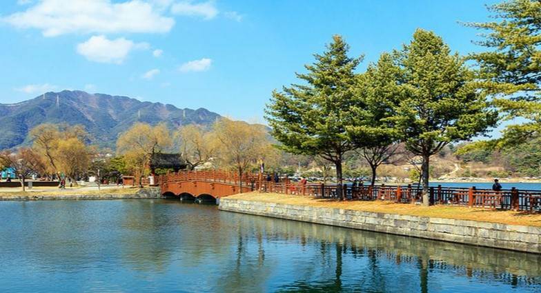 제천시 경제활력지원금 20만원 신청방법