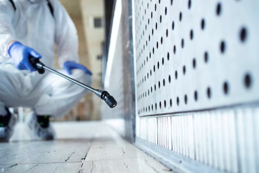 초파리-없애는-법-1