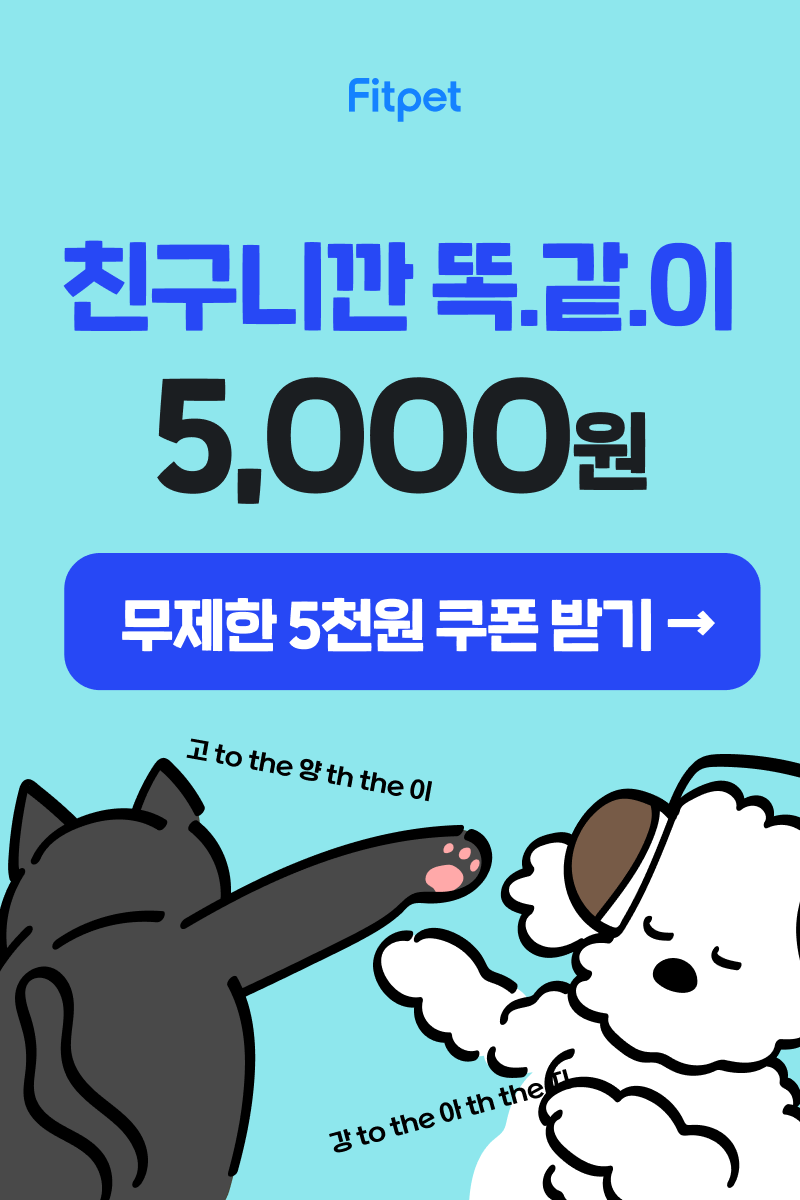 핏펫-친구도-나도-5&#44;000원쿠폰받고-모래부터-사료까지-할인받자
