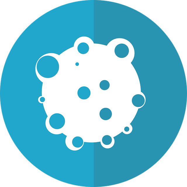 유방암 처방약 타목시펜