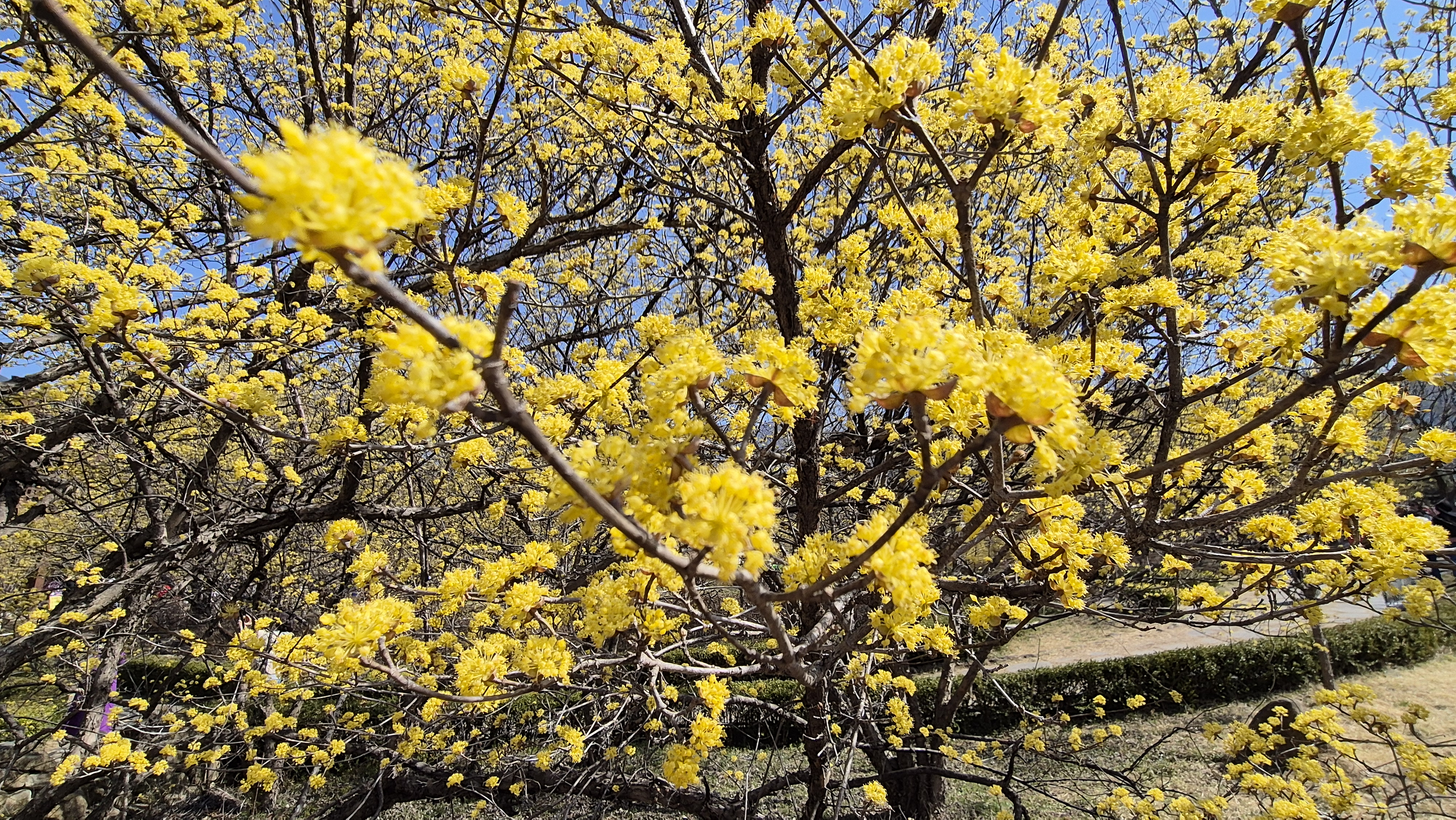 구례 가볼만한곳 베스트10