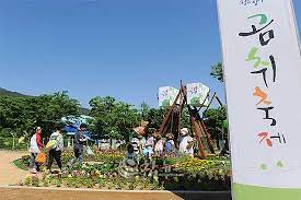 청춘양구 곰취 축제 그린페스타 기본일정과 공연 및 특징 소개 서지오 화자 나태주 케이시 코요태 경서 노브레인 출연