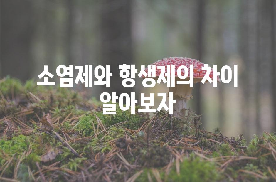 샘플 (42)