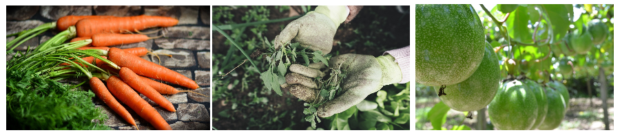 농식품바우처가 지역 경제에 미치는 영향