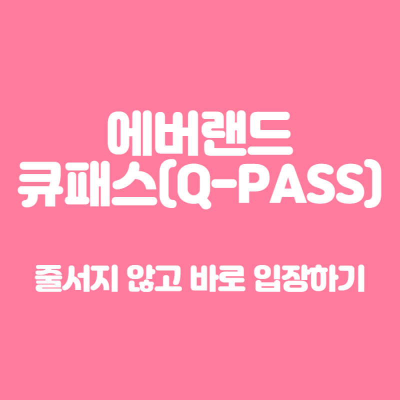 에버랜드 큐패스(Q-PASS)