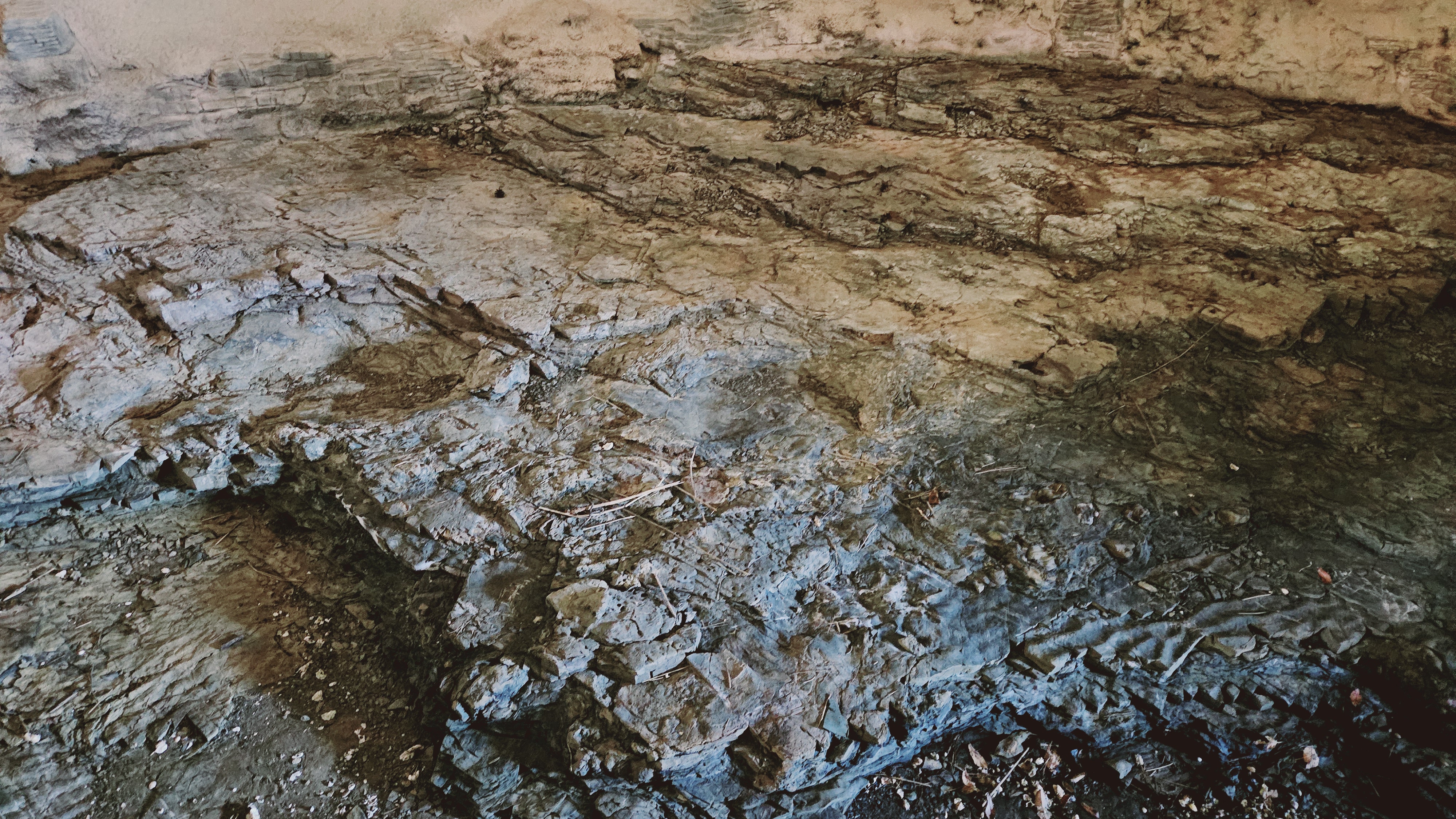 고성당항포랜드