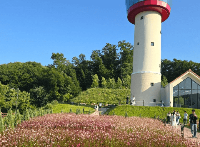 용인 자작나무숲 봄꽃축제