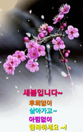 봄비 인사말 이미지 비오는날 일러스트_19