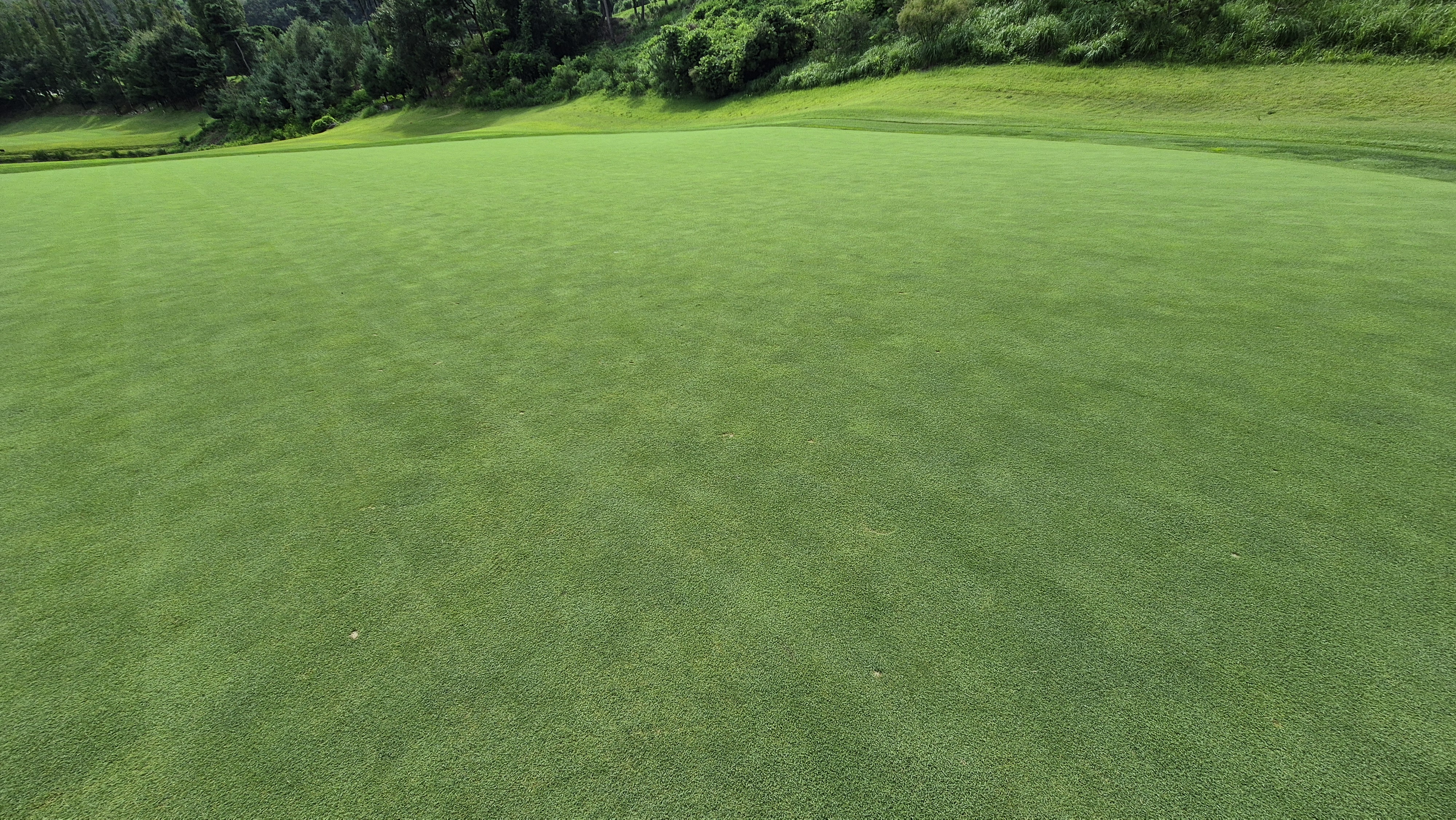 세일cc 들길-산길 코스 라운드 후기