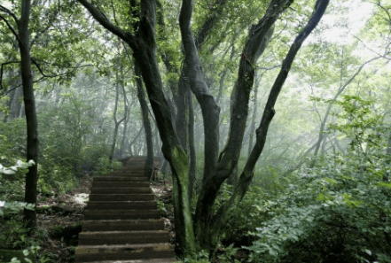 거문오름 탐방 예약 방법 (제주도 명소)