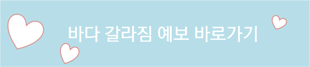 바다 갈라짐 예보 바로 가기