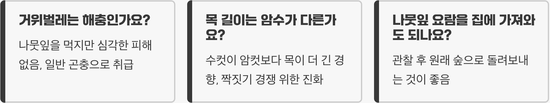 거위벌레 생태와 특징 총정리, 길쭉한 목으로 유명한 독특한 딱정벌레
