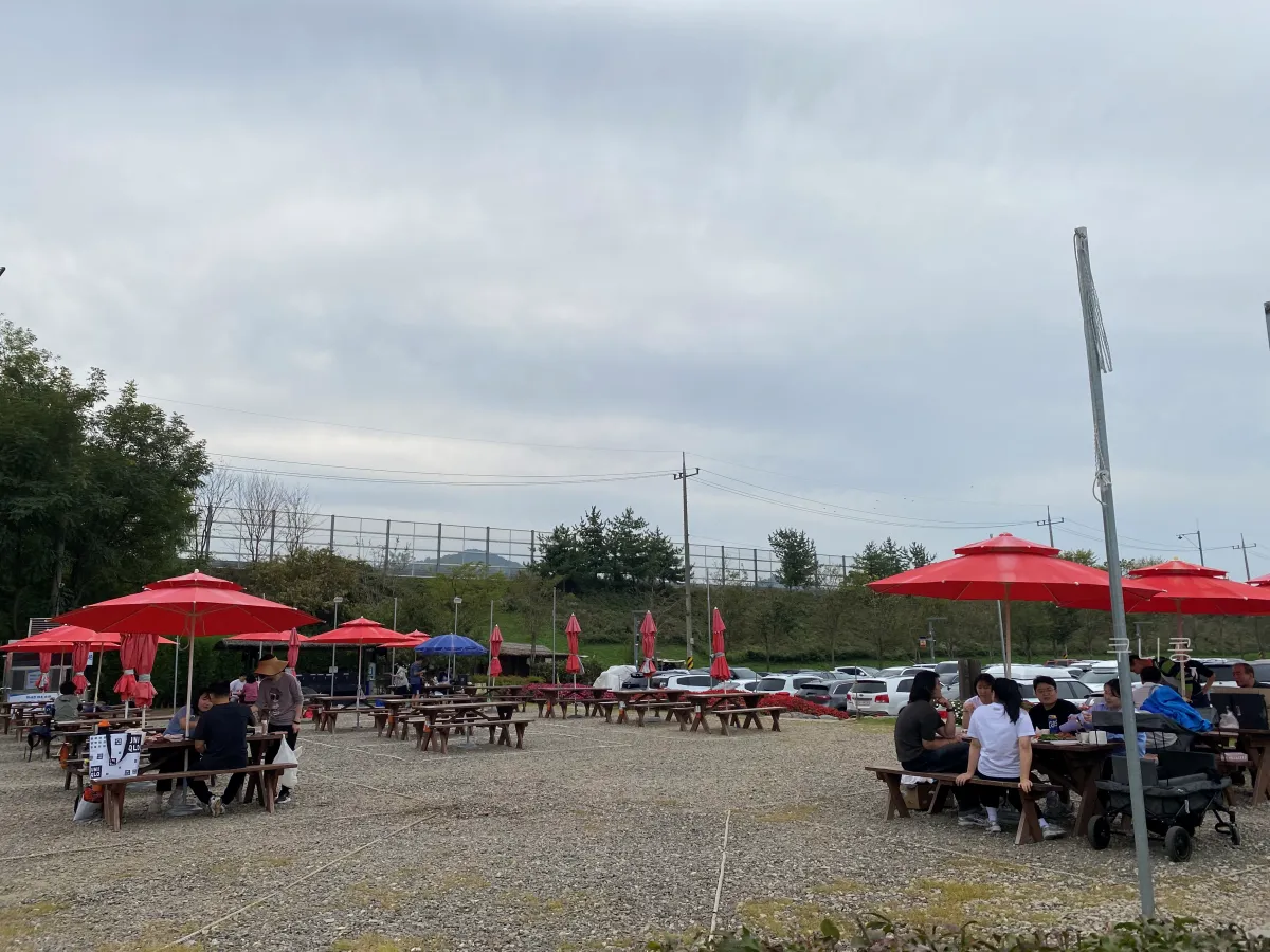 서울-근교-나들이-가볼만한곳-추천-억새-코스모스-시흥갯골생태공원-무료-주차-꿀팁