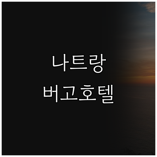 나트랑 호텔 추천 버고 호텔! 가성비..