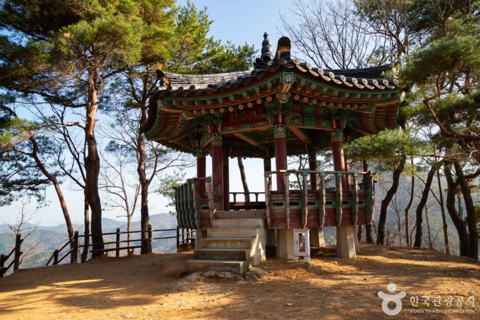 장태산 자연휴양림 메타세퀘이아 스카이웨이 출렁다리 피톤치드