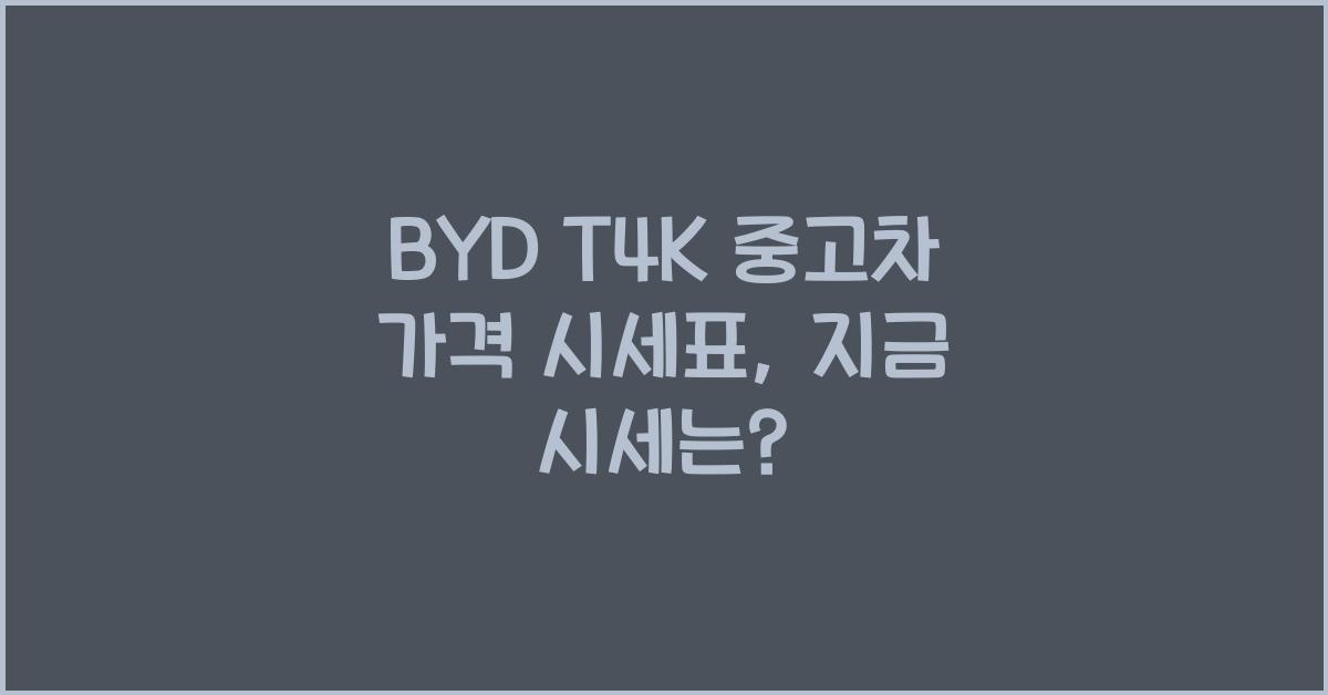 BYD T4K 중고차 가격 시세표
