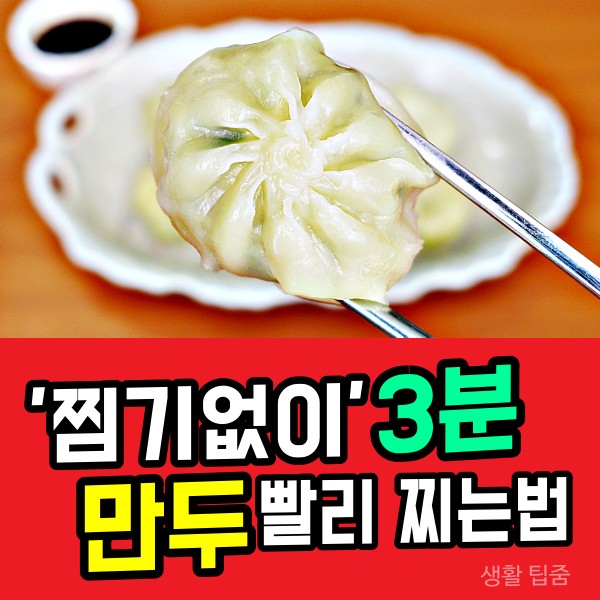 찜기없이 만두찌기 전자렌지 만두 찌는 방법 비비고 찐만두 맛있게 먹는법