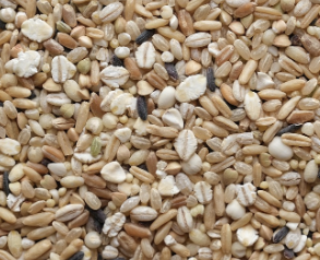 변비에 좋은 음식 변비해결방법