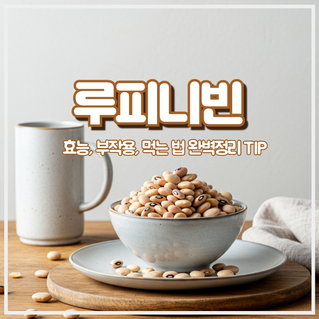 루피니빈 효능, 부작용, 먹는 법 완벽 정리