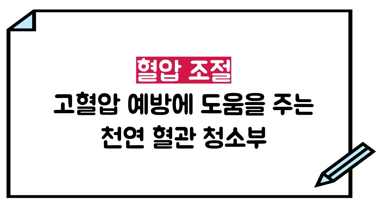 비트 효능