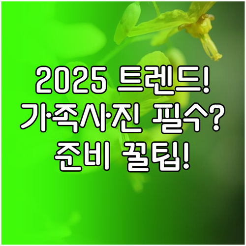 2025 연말 가족사진 촬영 필수 정..
