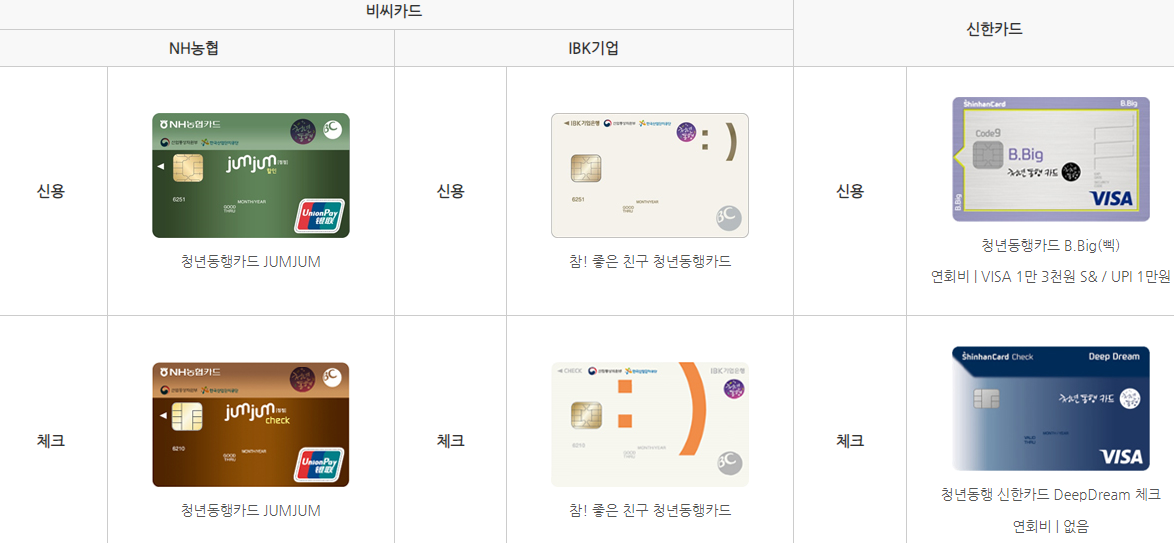 청년 교통비 지원, 청년동행카드 지원 대상 신용카드, 체크카드