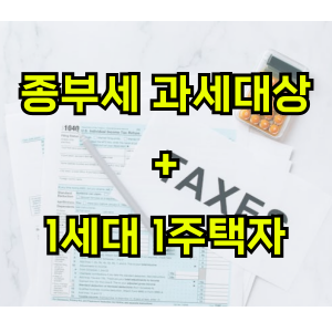 종부세-과세대상