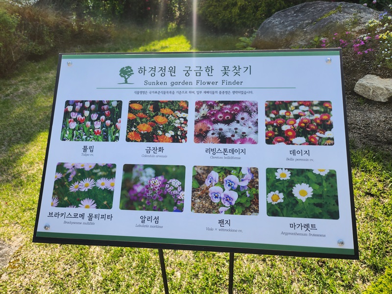 아침고요수목원 입장료&amp;#44; 방문기