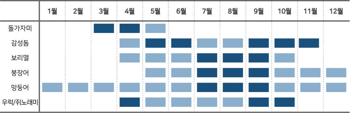 서해안 원투낚시 시즌표