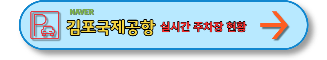 김포공항주차장 (25)