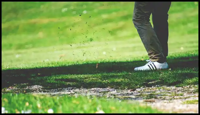 파크골프채 가격 추천 (혼마, 피닉스, 미즈노)