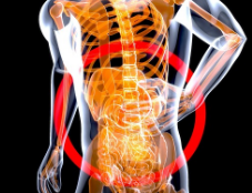 근육통 원인 총정리 : 갑작스러운 통증, 단순 뭉침일까 질병일까?