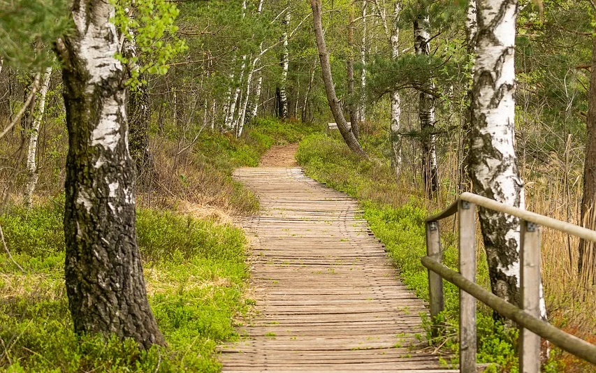 어르신 여름철 휴가지 3곳