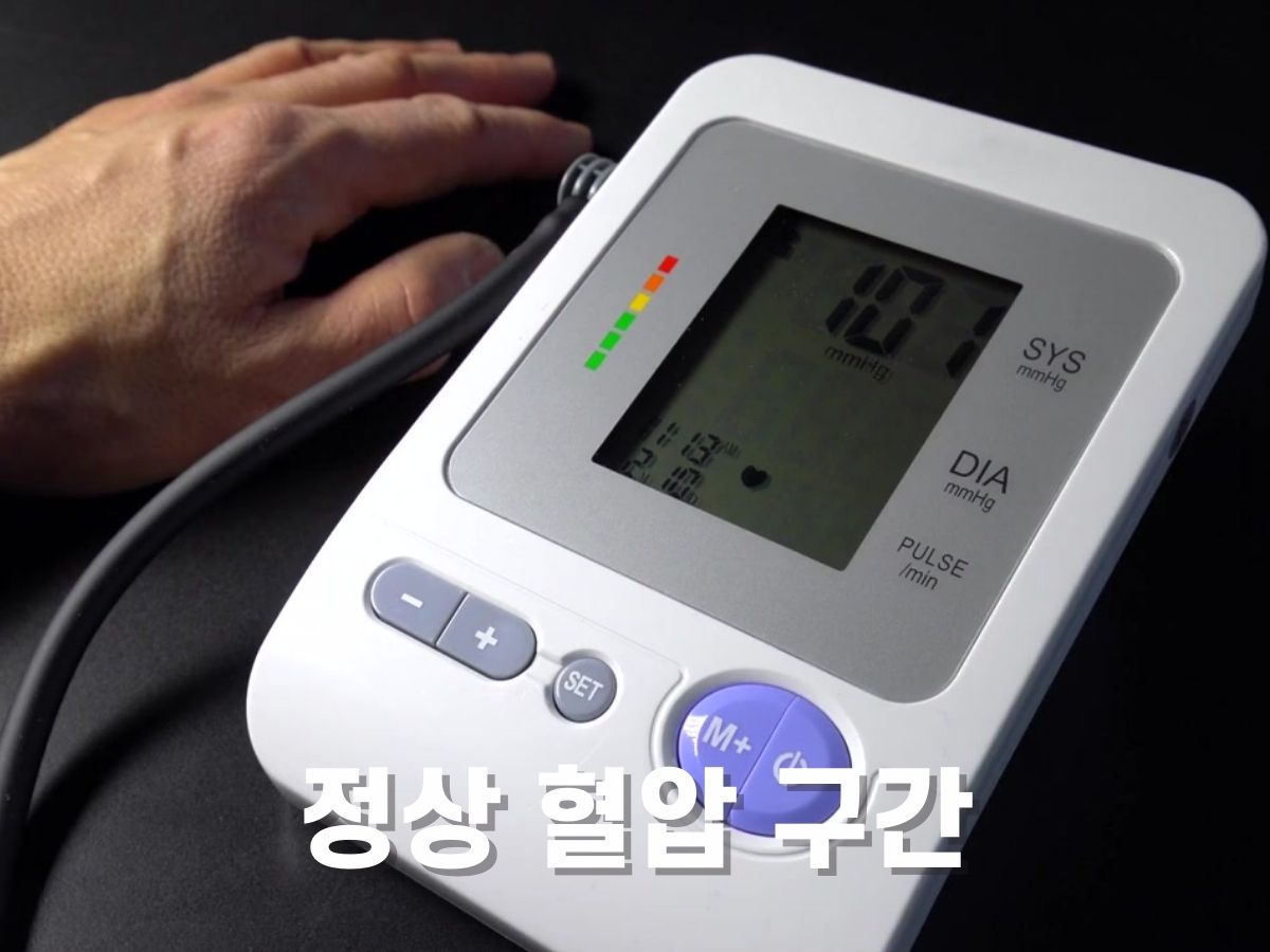 혈압 정상수치