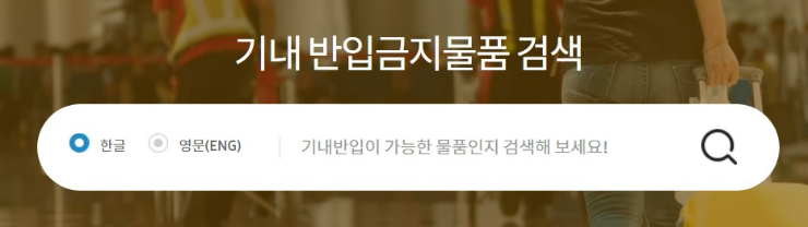 기내 반입금지물품 검색