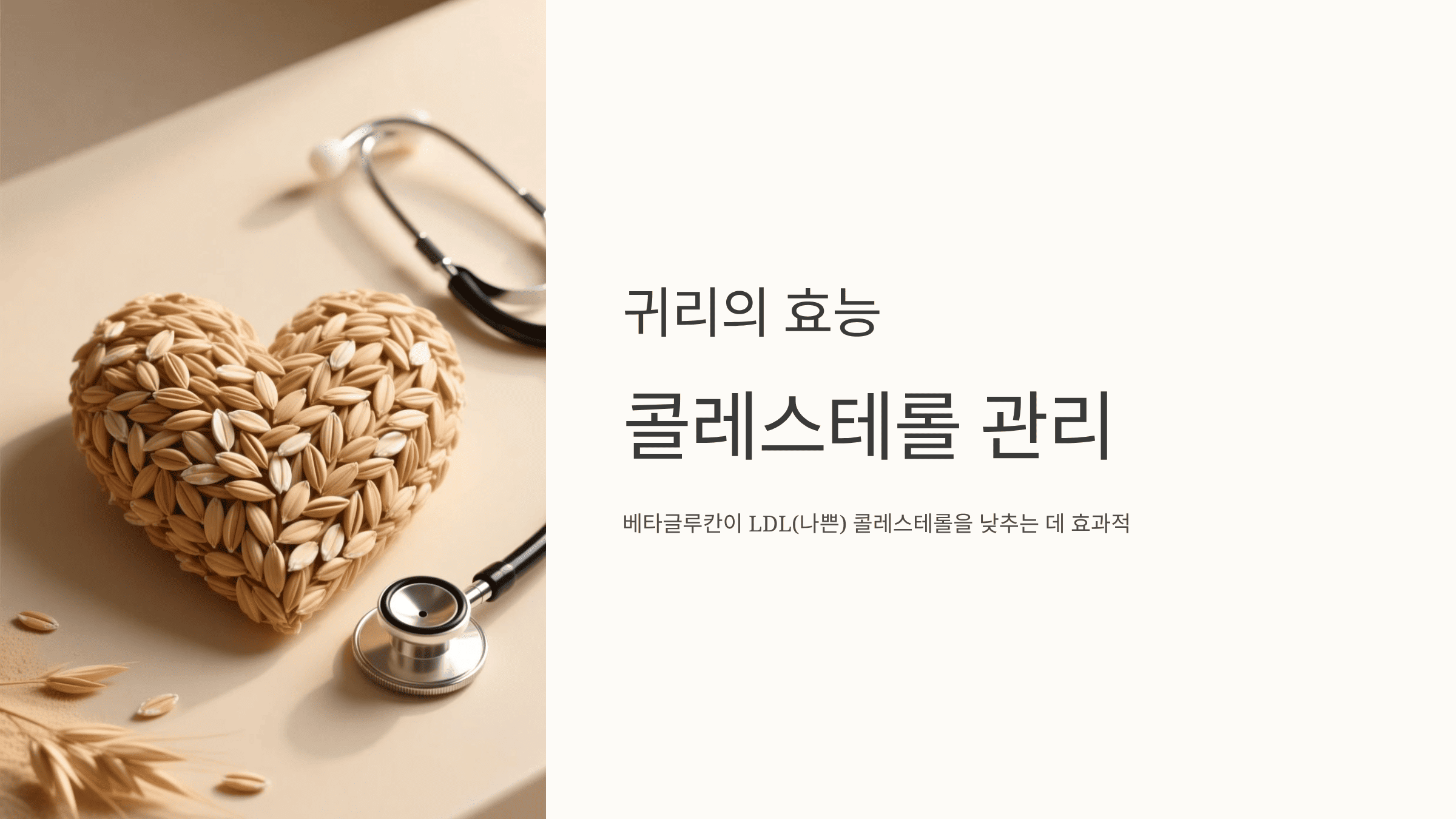 귀리 사진입니다.