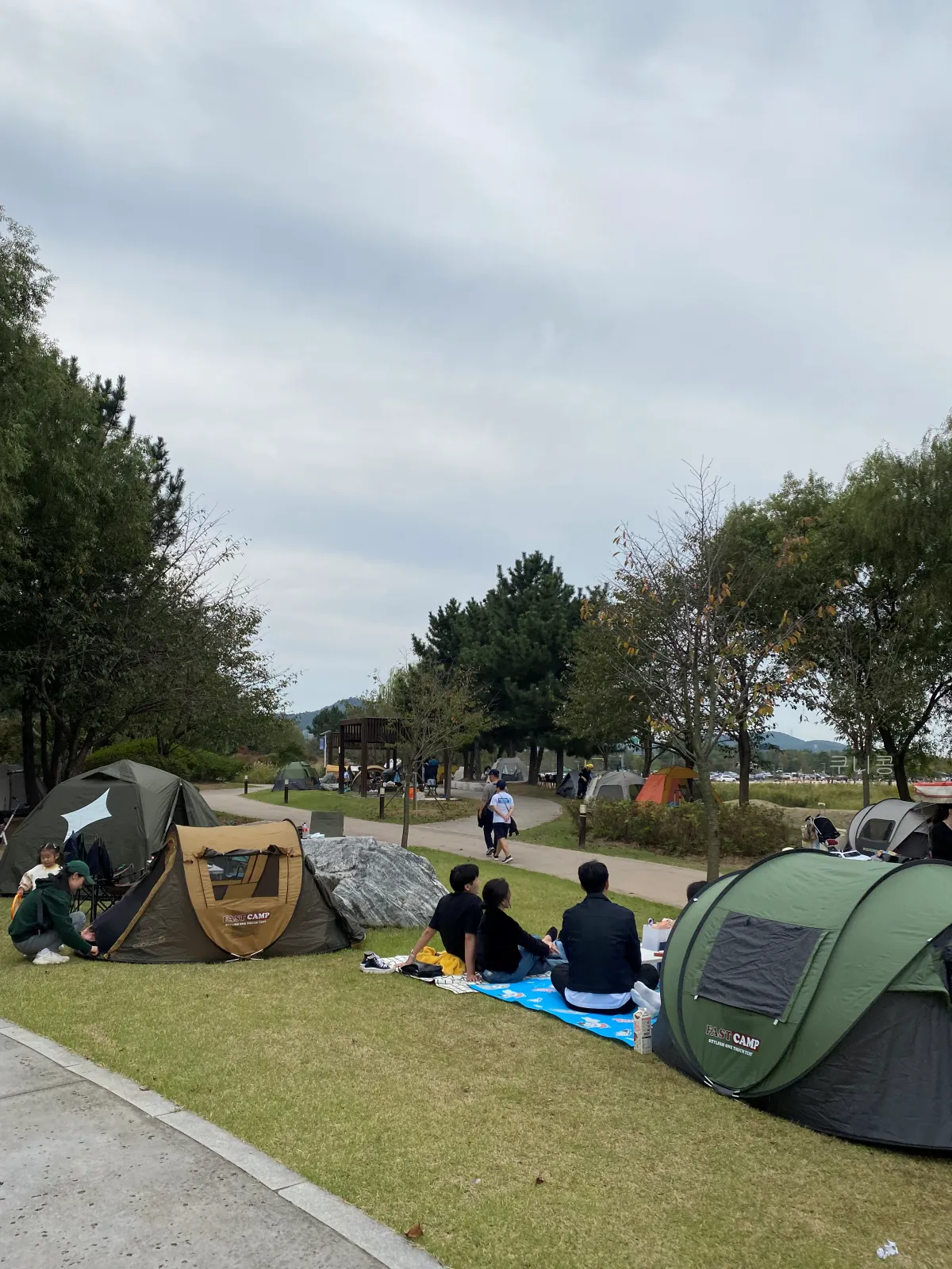 서울-근교-나들이-가볼만한곳-추천-억새-코스모스-시흥갯골생태공원-무료-주차-꿀팁