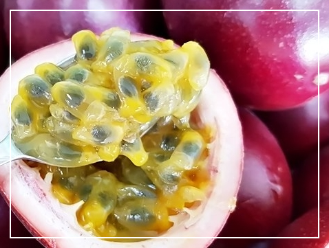 패션후르츠 맛있게 먹는 방법