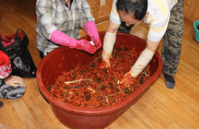 절임배추 20kg 몇포기