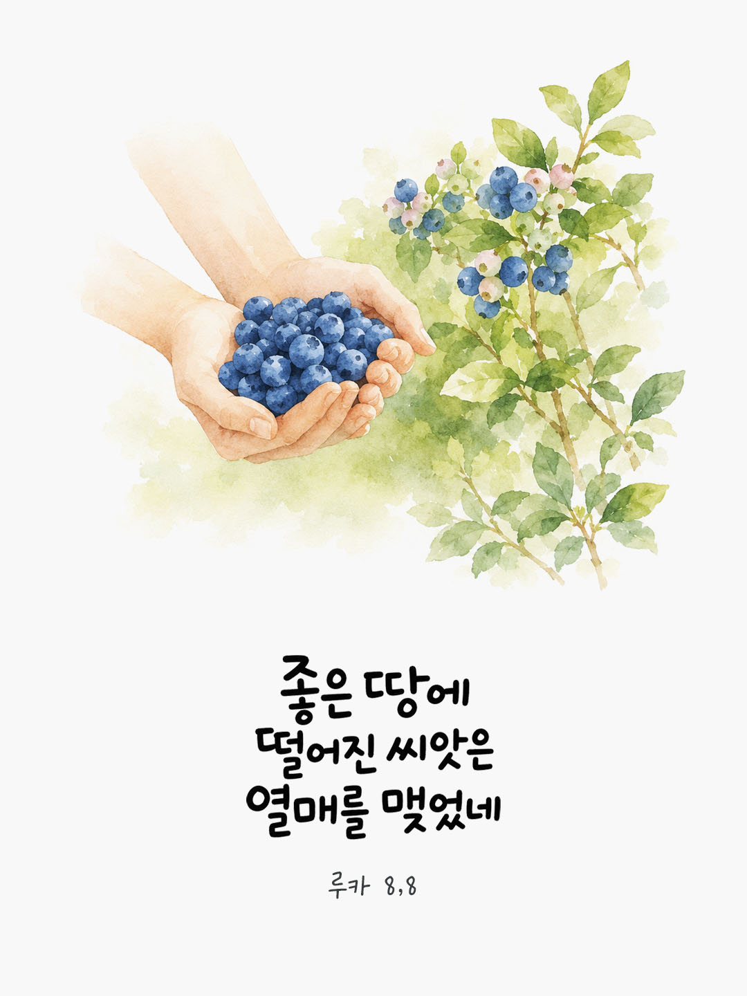 오늘 말씀카드 루카복음 8장 8절 성경구절 이미지
