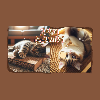 고양이스크래쳐