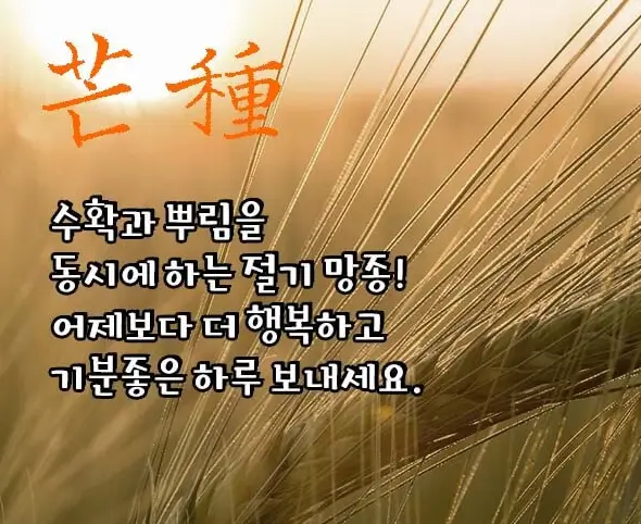 망종 인사말과 이미지